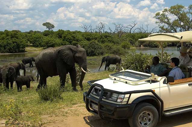 Full Day Chobe Trip